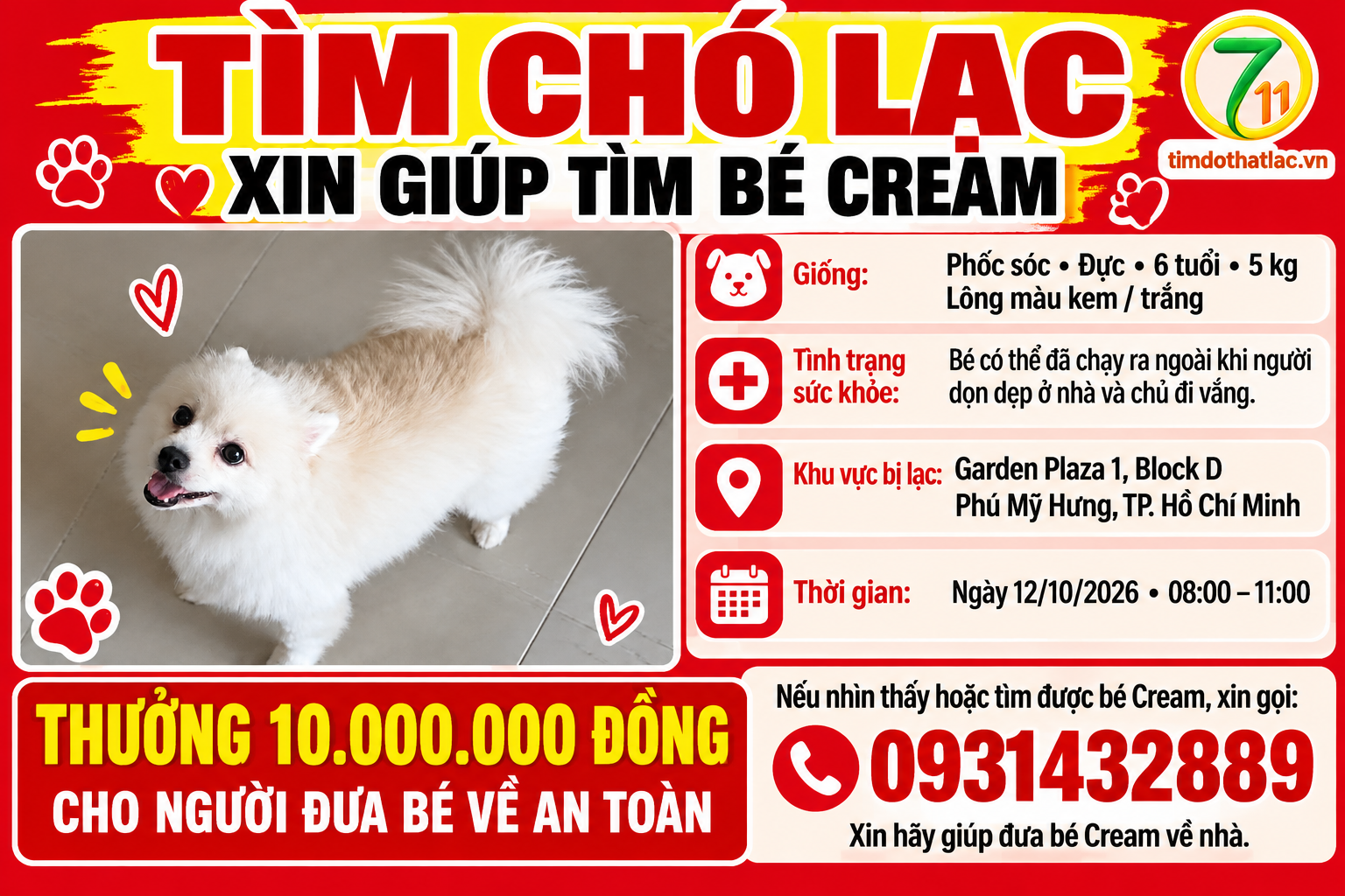 🆘 TÌM BÉ CREAM ĐI LẠC Ở TPHCM! 🙏🐶💔