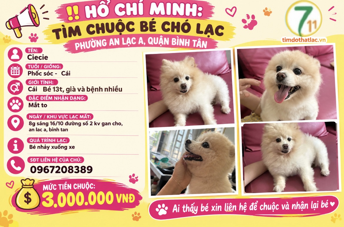 ‼️ Hồ Chí Minh: Tìm chuộc bé chó lạc tại khu vực An Lạc A