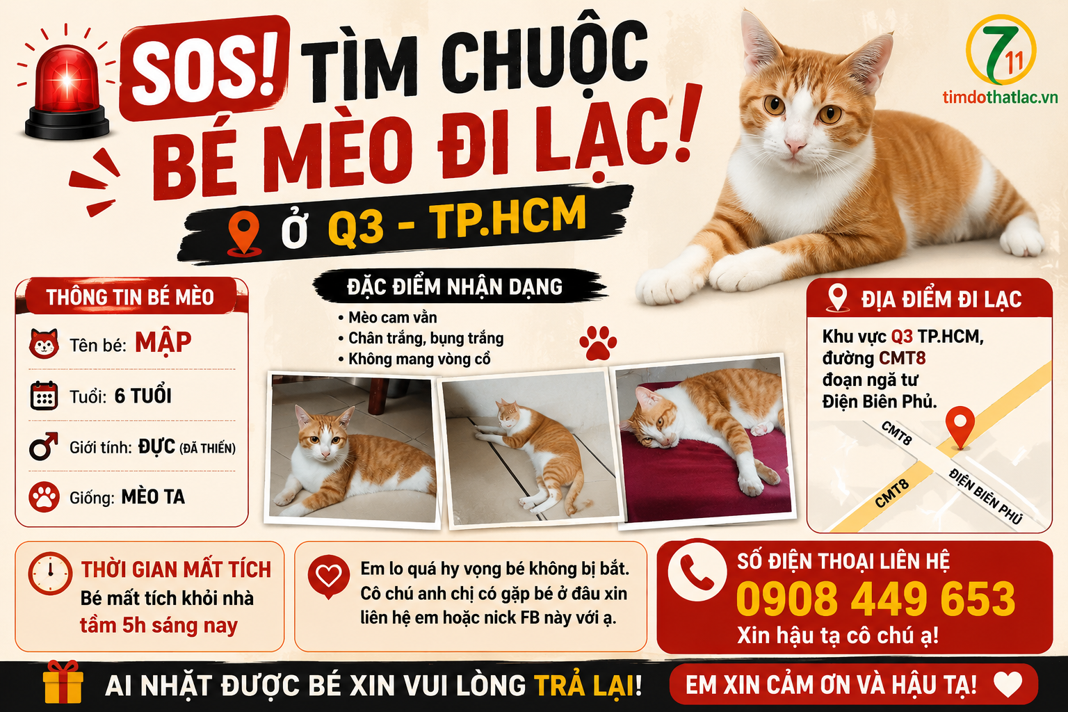 🆘 TÌM CHUỘC BÉ MÈO ĐI LẠC Ở q3 - TPHCM