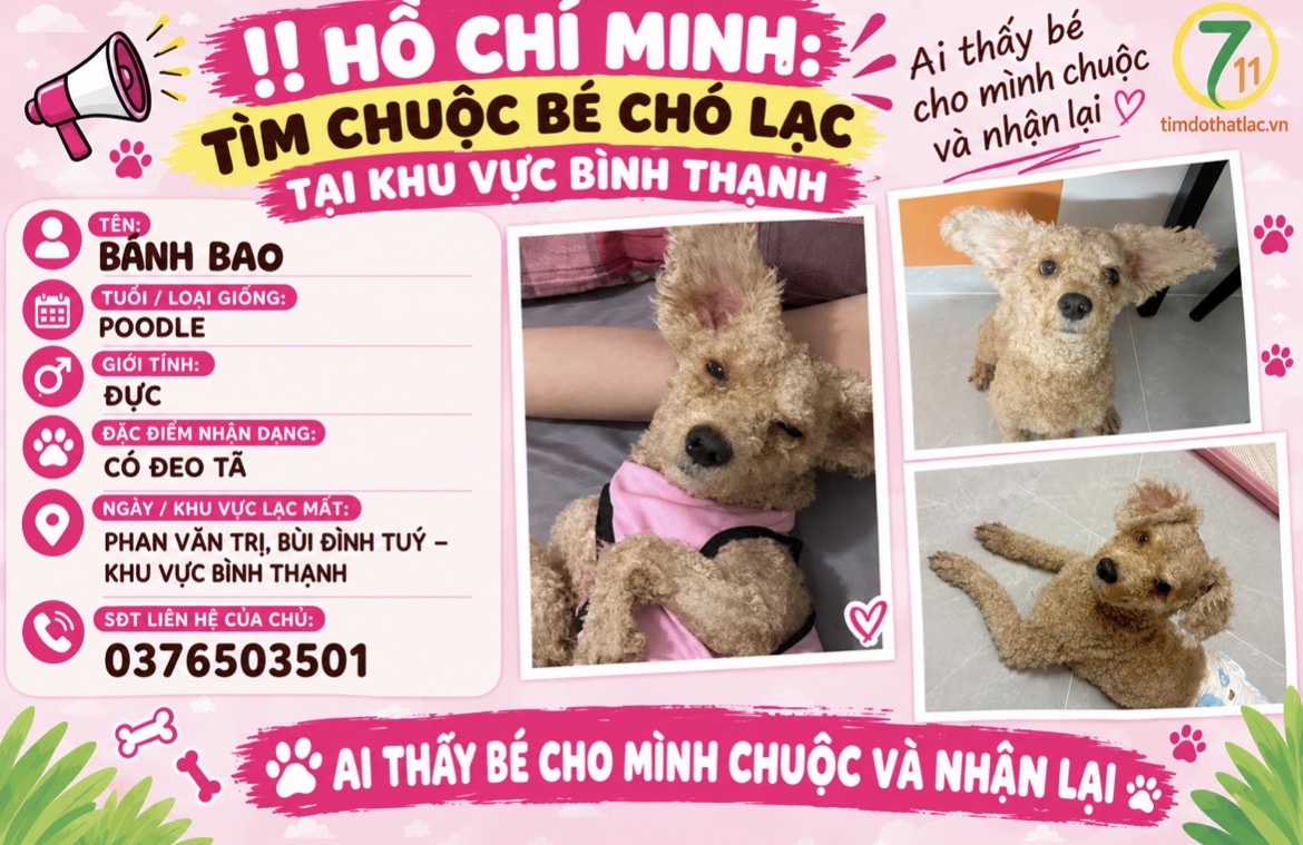 ‼️ Hồ Chí Minh: Tìm chuộc bé chó lạc tại khu vực Bình Thạnh
