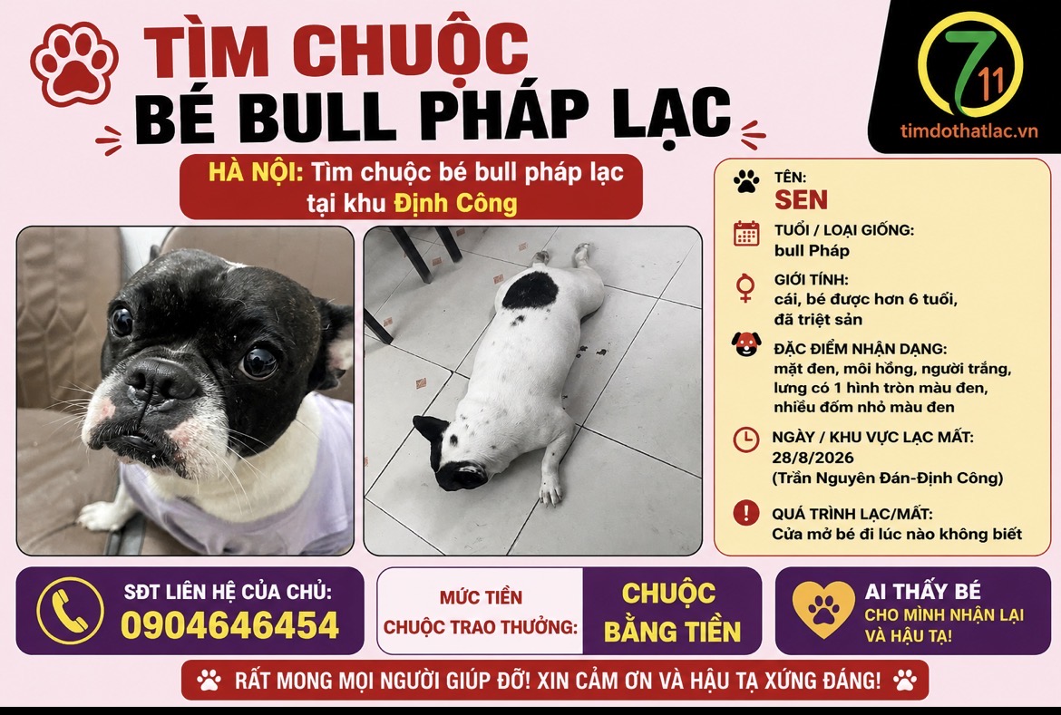 ‼️ Hà Nội: Tìm chuộc bé bull pháp lạc tại khu Định Công