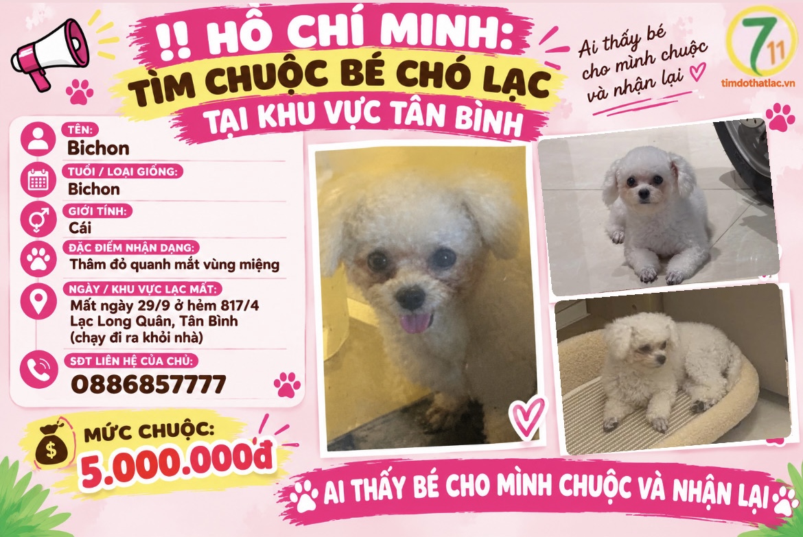 ‼️ Hồ Chí Minh: Tìm chuộc bé chó lạc tại khu vực Tân Bình