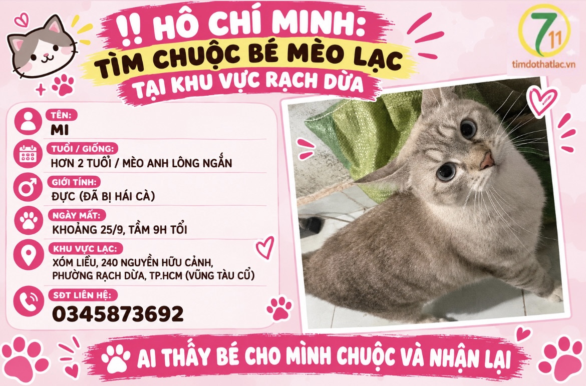 ‼️ Hồ Chí Minh: Tìm chuộc bé mèo lạc tại khu vực Rạch Dừa