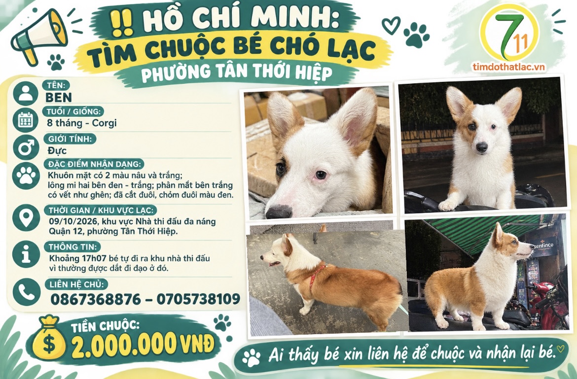 Hồ Chí Minh: Tìm chuộc bé chó lạc tại khu vực phường Tân Thới Hiệp