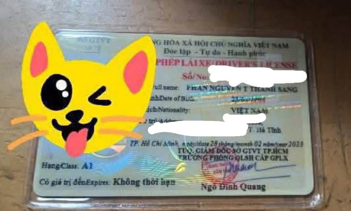 Rơi ví giấy tờ ở tpHCM tên Phan Nguyễn Thị Thanh Sang