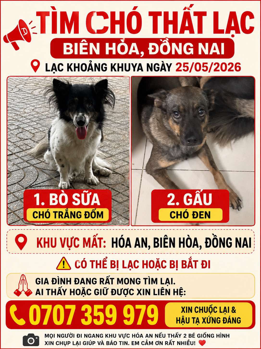 Tìm chuộc bạn chó cỏ thất lạc ở Biên Hoà