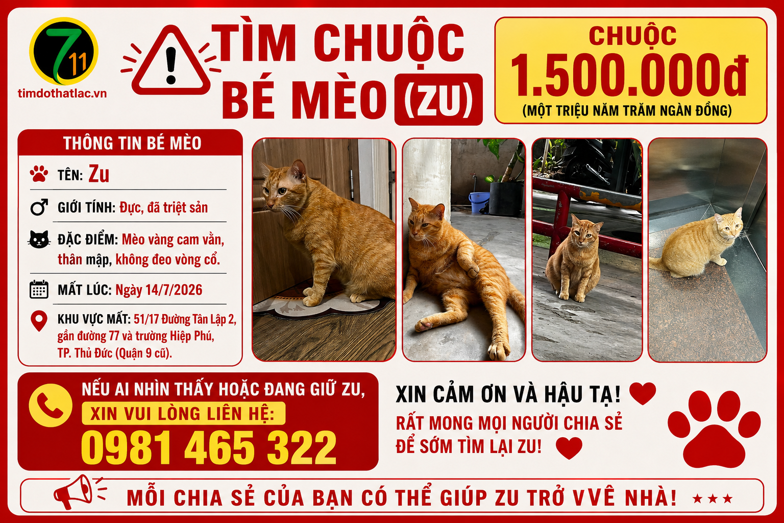 🆘 TÌM CHUỘC BÉ MÈO ( Zu ) đi lạc ở Q9 cũ, tpHCM