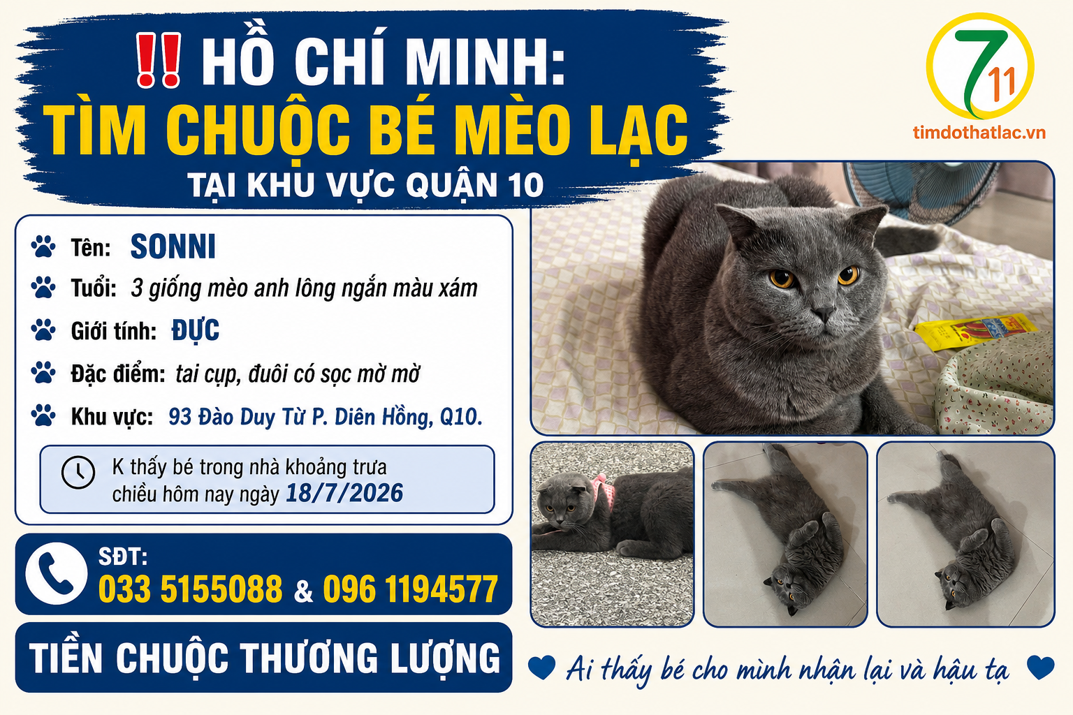 ‼️ Hồ Chí Minh: Tìm chuộc bé mèo lạc tại khu vực quận 10