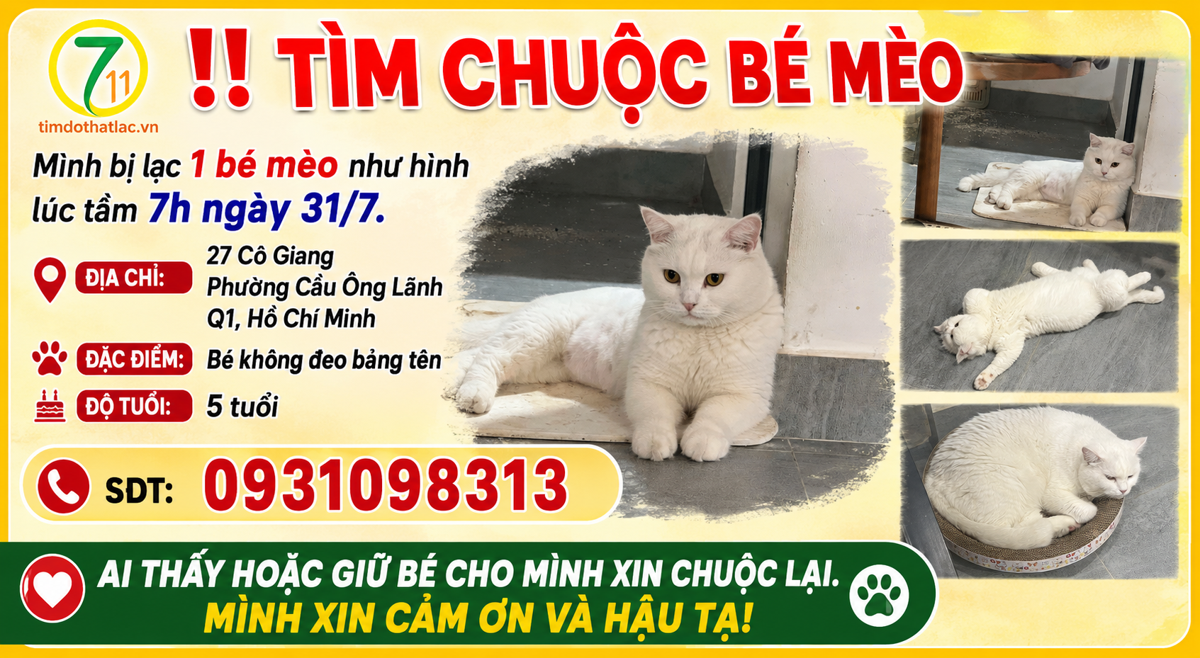 Tìm chuộc bé mèo thất lạc ở Hồ Chí Minh