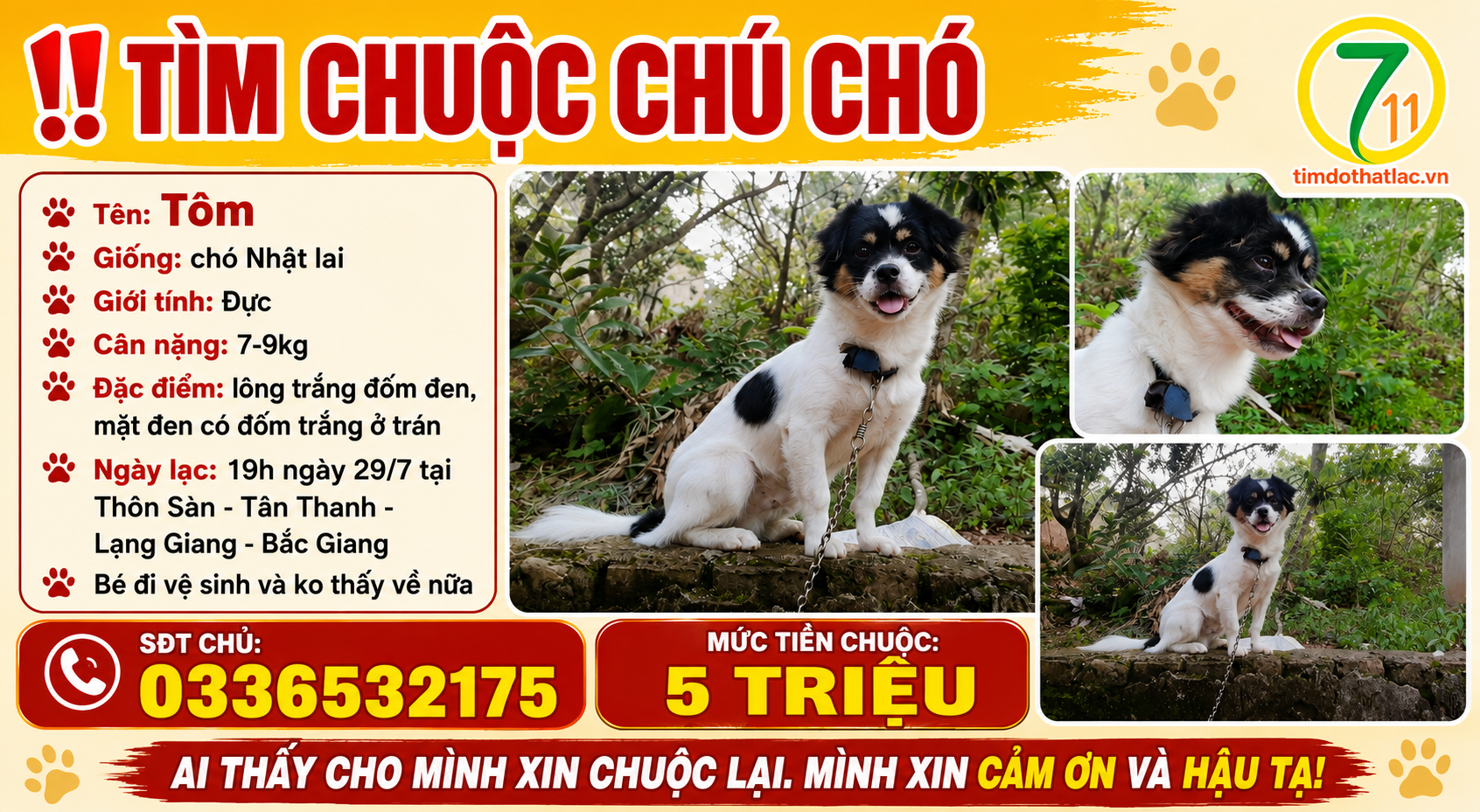 Tìm chuộc chú chó thất lạc ở Bắc Giang