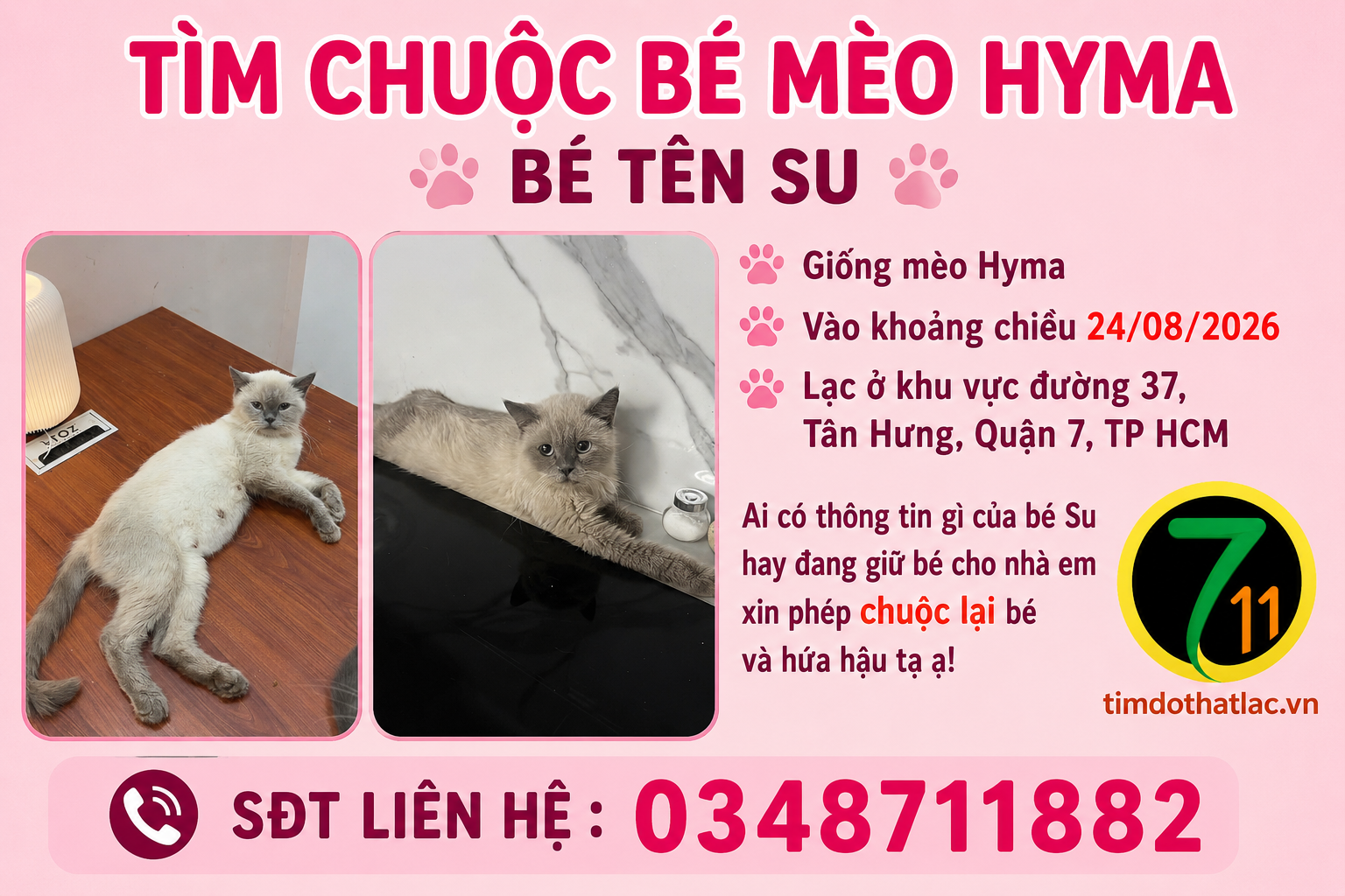 🐾tìm chuộc bé mèo Hyma lạc tại TP HCM
