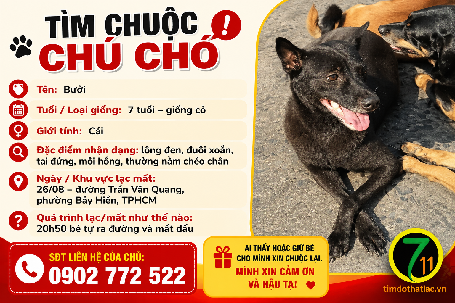 Tìm chuộc chú chó thất lạc ở Hồ Chí Minh