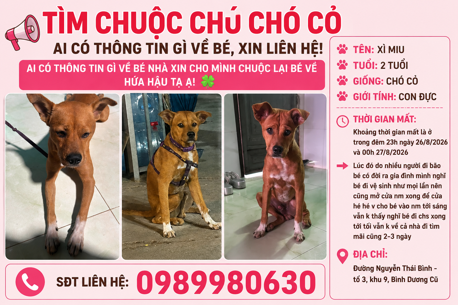 🐾tìm chuộc chú chó cỏ trên hình lạc tại Bình Dương