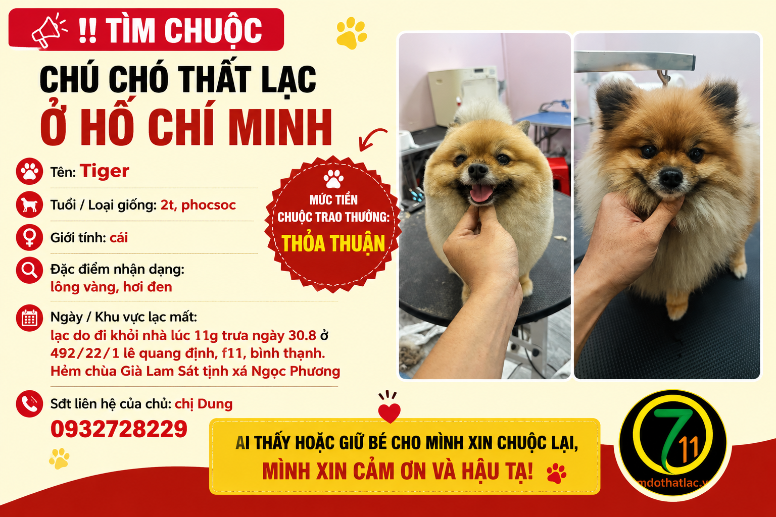 Tìm chuộc chú chó thất lạc ở Hồ Chí Minh