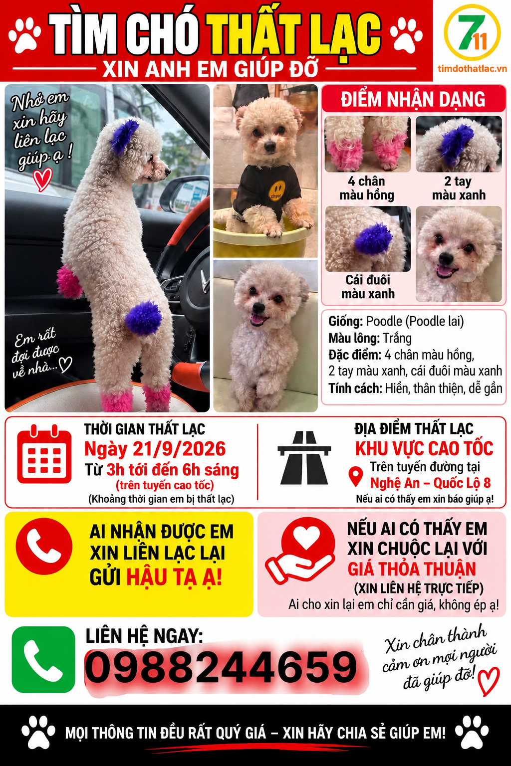 Tìm chuộc chú chó poodle thất lạc ở Nghệ An