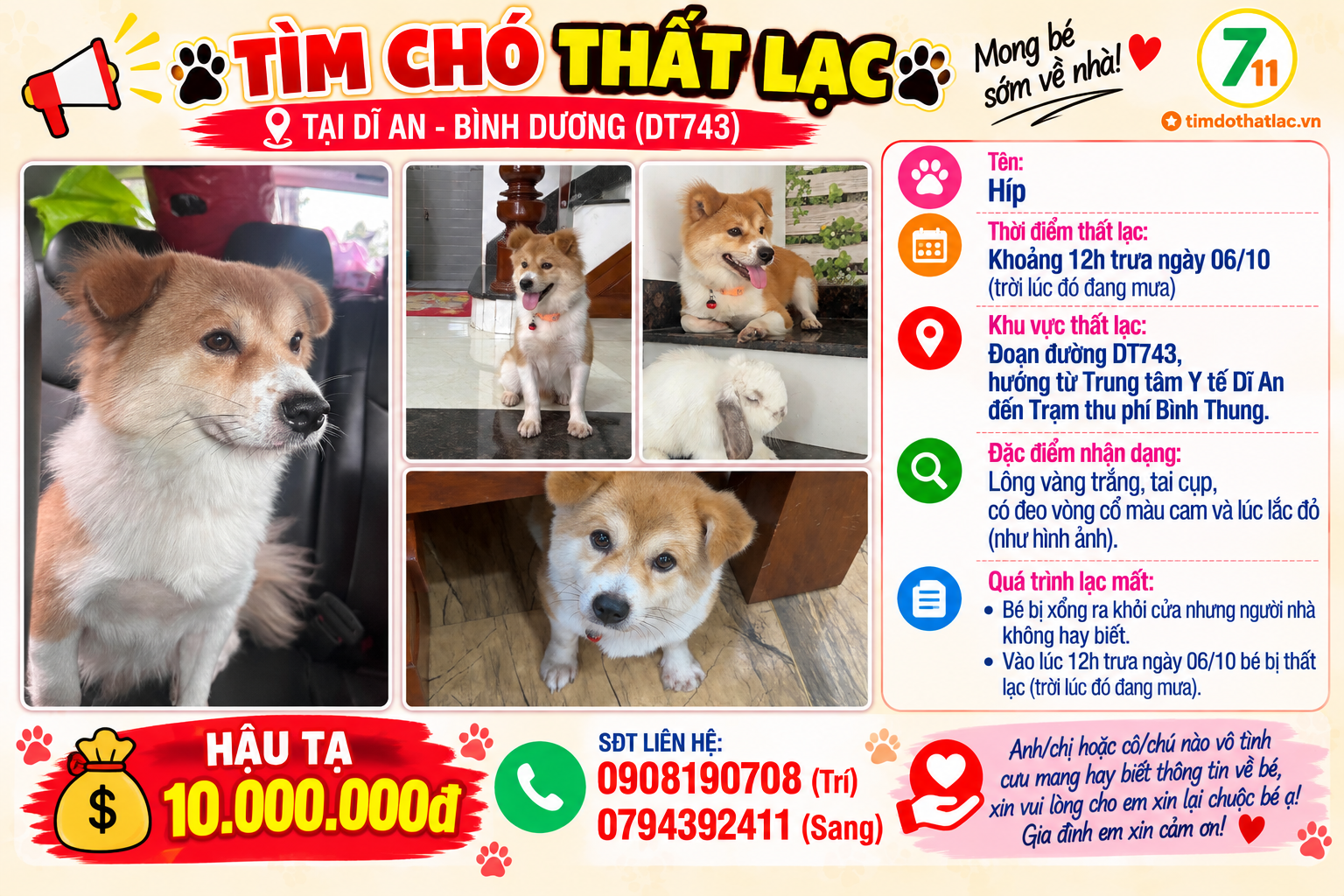 Tìm chuộc chú chó thất lạc ở Bình Dương