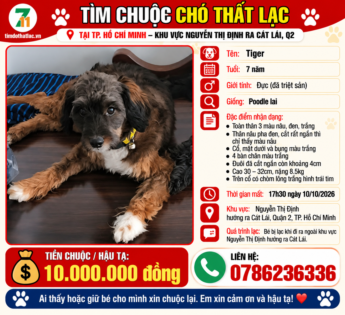Tìm chuộc chú chó thất lạc ở Hồ Chí Minh