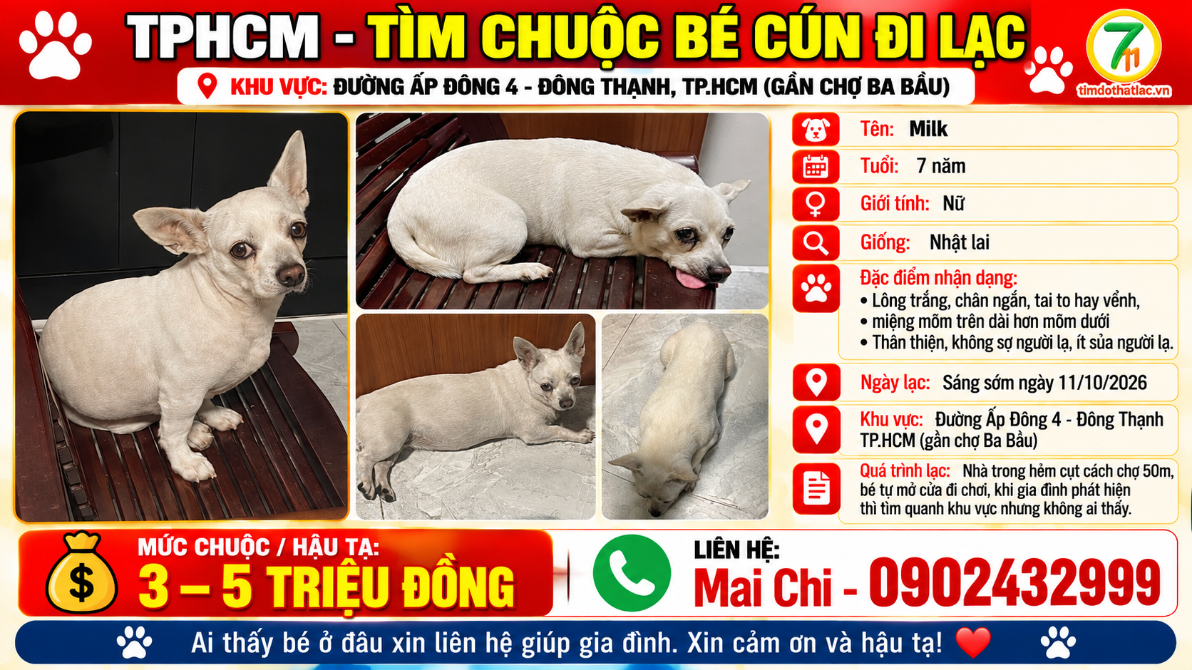 🆘 TPHCM - TÌM CHUỘC BÉ CÚN ĐI LẠC
