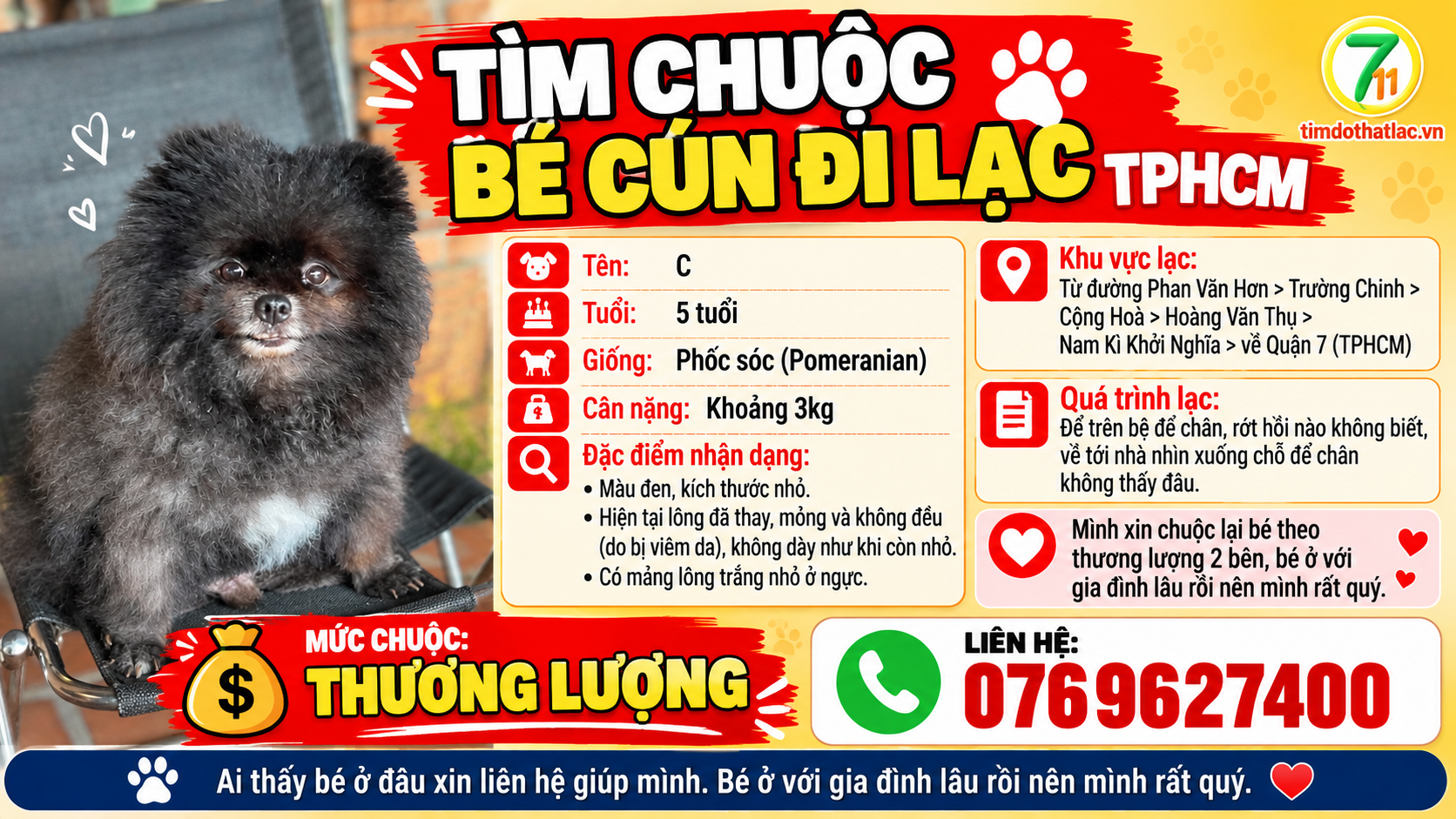 🆘 TÌM CHUỘC BÉ CÚN ĐI LẠC TPHCM